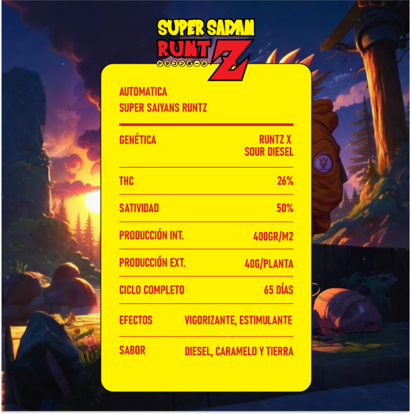 SUPER SAIYAN RUNTZ - Imagen 3