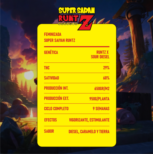 SUPER SAIYAN RUNTZ - Imagen 4